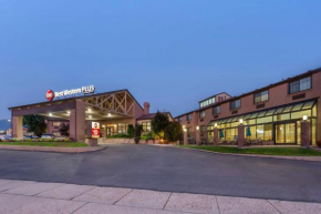 Best Western PLUS Cotton Tree Inn Salt Lake City